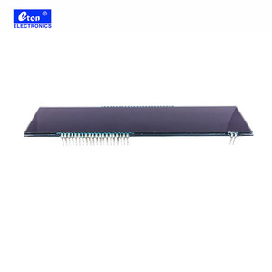 Pantalla LCD con control de temperatura de segmento monocromático personalizado