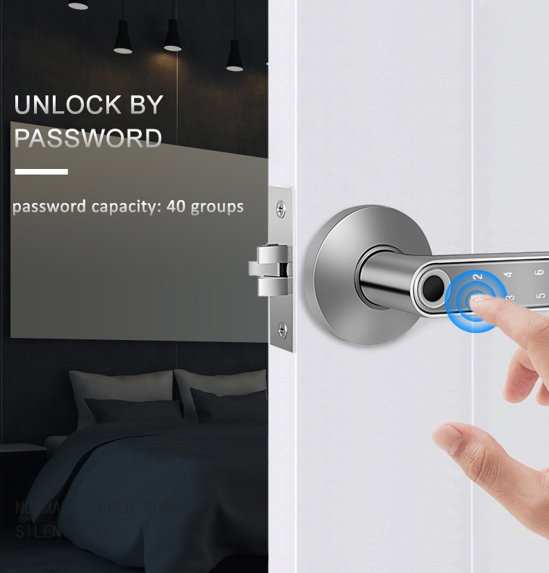 Competitive Price S604 BLE Smart Wifi Tuya APP Lock Intelligent Biometric Fingerprint Door Lock Password Home Door Lock