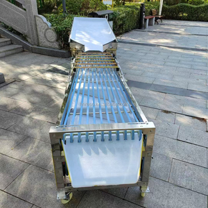 Macchina selezionatrice per la selezione di datteri alla pera di albicocca in acciaio inossidabile - Product Image 4