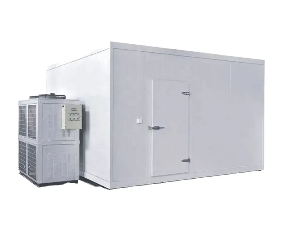 High quality cold room door in refrigeration for meat and vegetables with good price