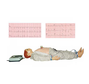 Simuladores de ordenador ECG, varios modelos de ECG, 2/XD1 - Product Image 2