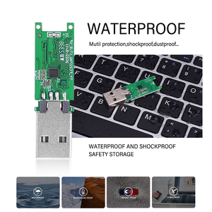 高速USBフラッシュドライブチップ8GB16GB 32GB 128GB 256GB 2.0PCBAペンドライブ全容量Udp3.02.0Usbチップ - Product Image 4