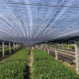40% ~ 50% затенение Анти-ультрафиолетовая ткань из HDPE сетчатая сетка для защиты от солнца в сельском хозяйстве плоская моно затеняющая сетка Солнцезащитная сетка - Product Image 6