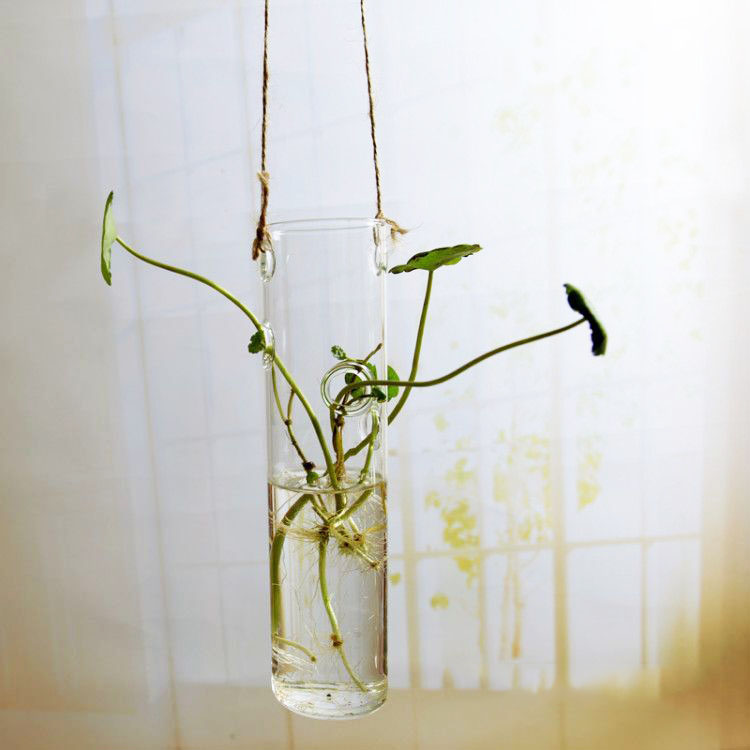 Vase tube long