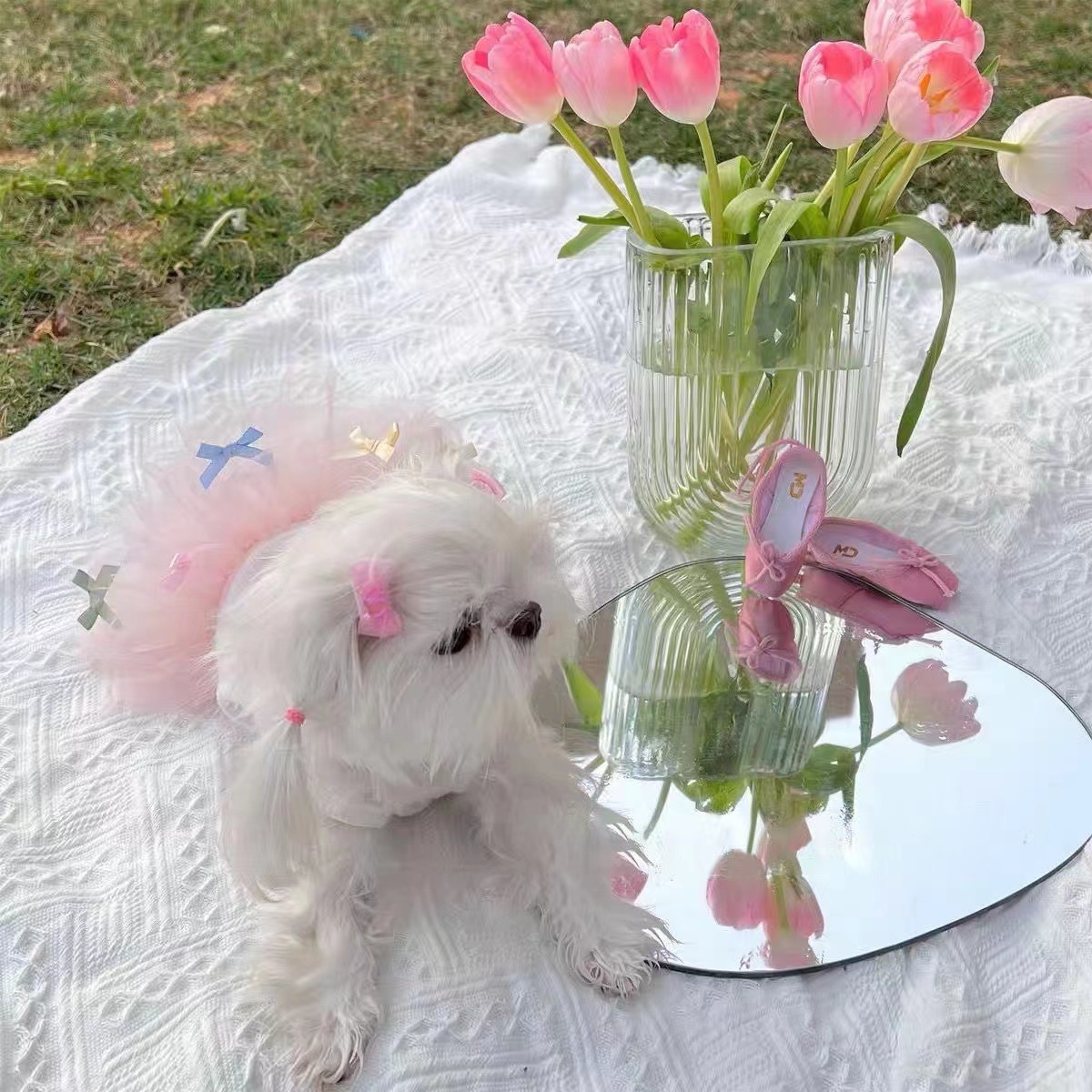 Rosa