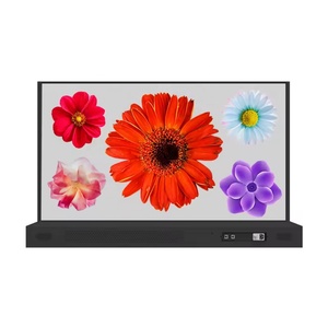 Brand <strong>New</strong> <strong>LG</strong> 30 Inch Transparent OLED Screen Display Transparent OLED Screening Transparent LCD - Product Image 3