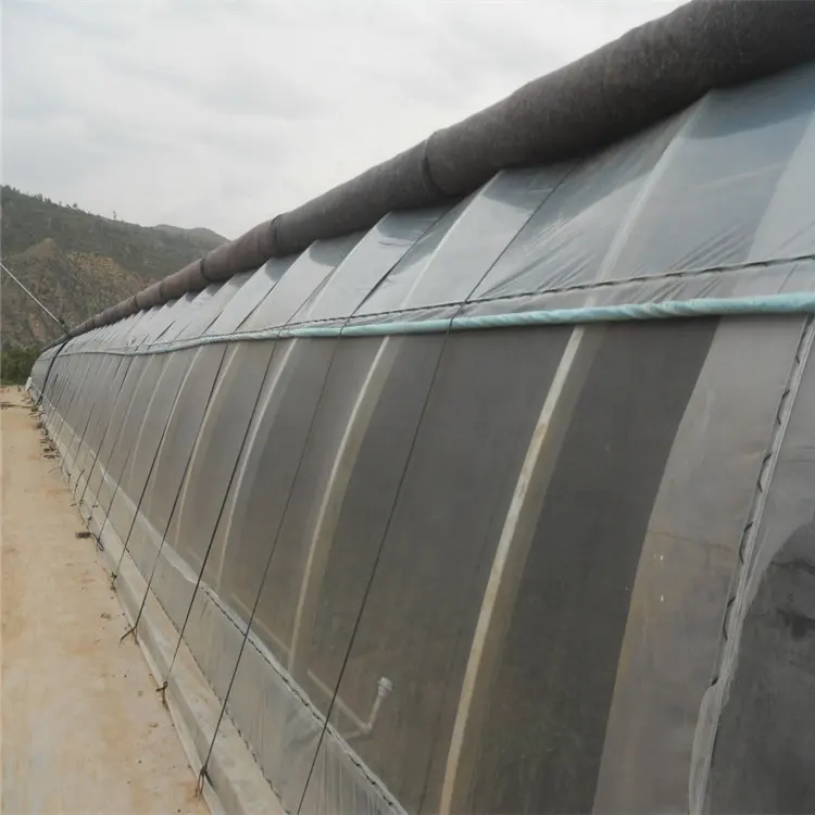 Tarım alüminyum kış sebze sıcak galvanizli çelik çerçeve plastik levha tek açıklıklı sera tüneli yeşil evler