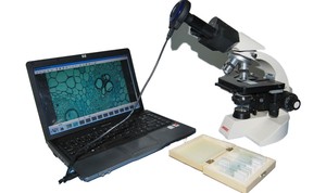 5.0mp High Resolution High Sensitivity <strong>Coms</strong> <strong>Sensor</strong> Digital Microscope <strong>Camera</strong> with Built-in Relay Lens Material Analysis - Product Image 5