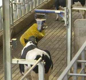 Sikat gores peternakan ternak, sikat tubuh ternak, peralatan pembiakan peternakan ternak - Product Image 1