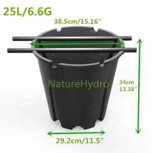 מקסיקו אוכמניות gallon לגדול מיכל אוכמניות אוכמניות גידול אוכמניות אוכמניות