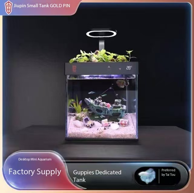 Black bag set: filter heater, dual lamp,water temp display