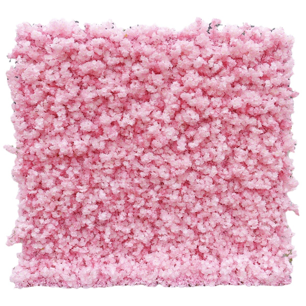 Flor de cerezo rosa