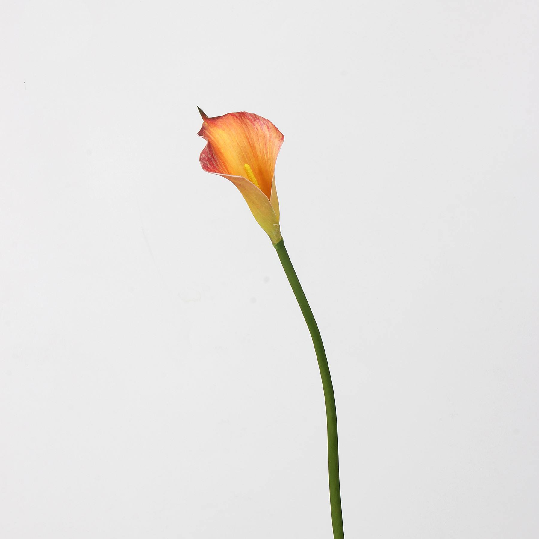Orange - 50CM