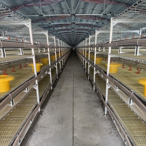 Trực Tiếp Nhà Cung Cấp Của Người Bán Tốt Nhất Tự Động H Loại <span class=keywords><strong>4</strong></span>-5 Tầng Gà Hai Lồng Cho Gia Cầm Philippines - Product Image 1