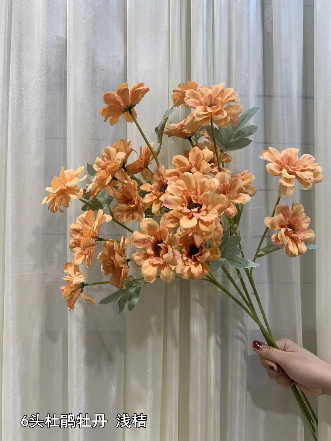 6 pivoines coucou poudre orange