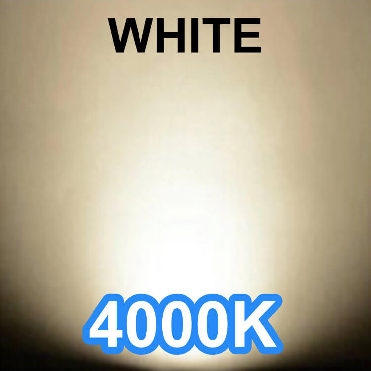 Blanc