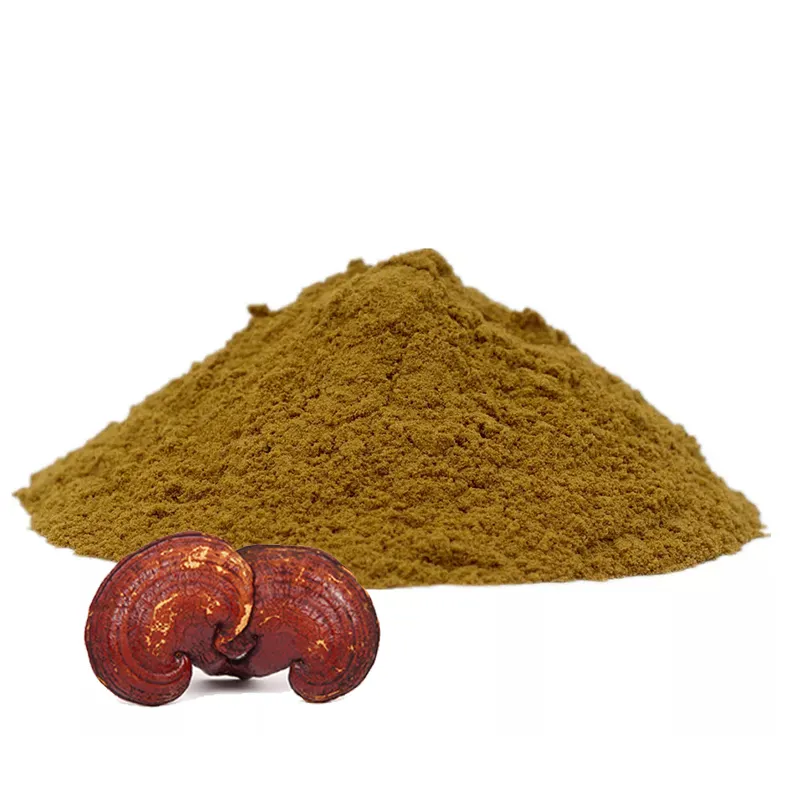 Ekstrak Jamur Reishi alami murni bubuk triterpenoid polysaccharide triterpenoid