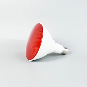 LEDパー電球E27 B22 LEDパー38 LEDパー30 Led Par20電球LEDスポットライト - Product Image 1