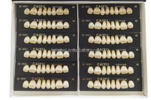 Hoge Kwaliteit Tandheelkundige Acrylhars Tanden Posterieure Twee Lagen Synthetische Hars Tanden - Product Image 2