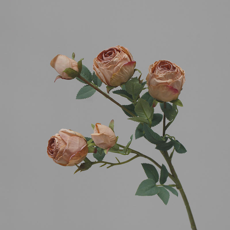 สีน้ำตาล