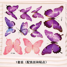 violet foncé