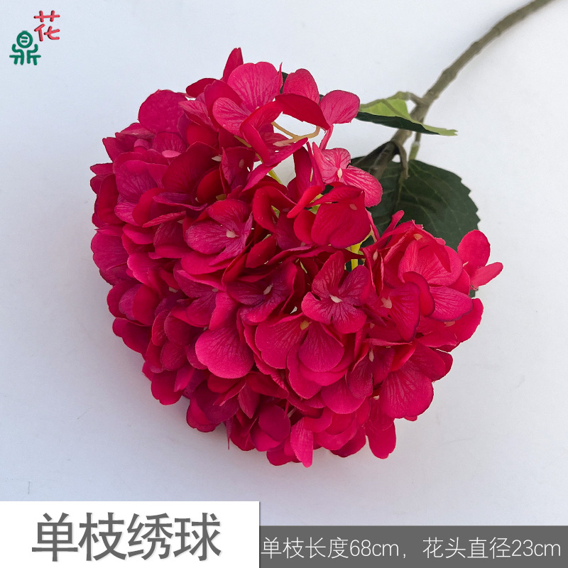 Monohydrangea SK rose red