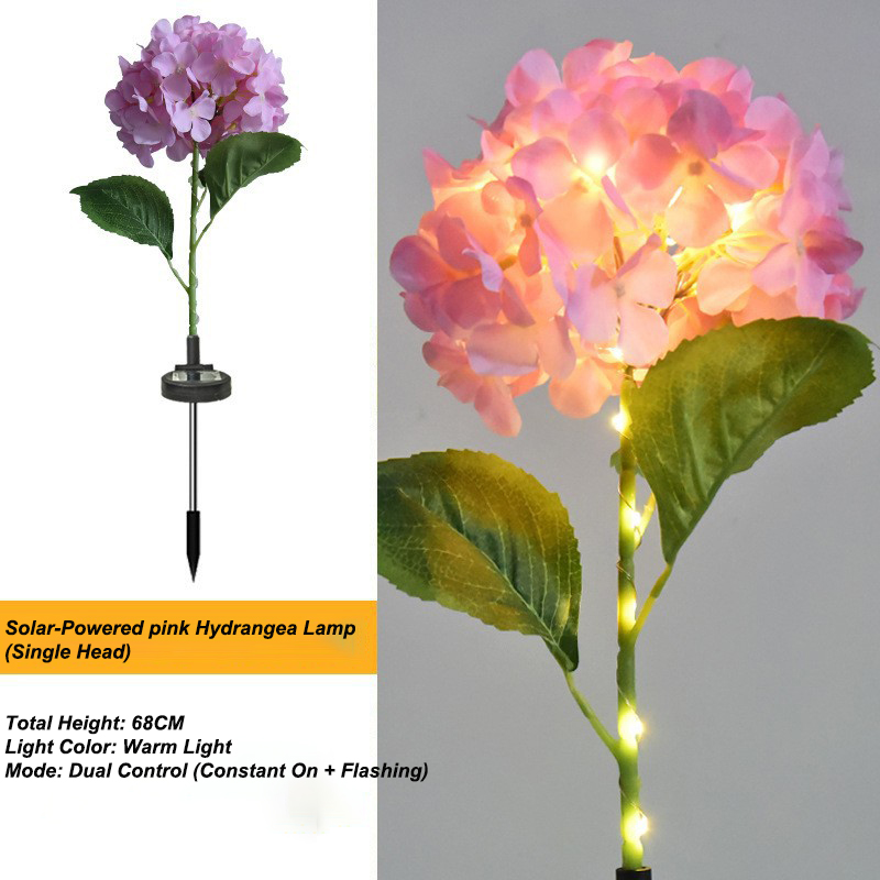 Ortensia grande a testa singola rosa