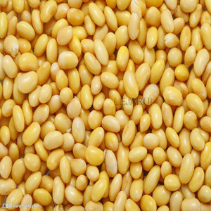 Commercial Fresh Ground <strong>Soybean</strong> Milk Machine Large Capacity Stainless Steel Funnel Tofu Residue <strong>Separator</strong>