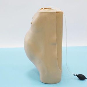 BIX-FW2 modèle de bilan prénatal de femmes enceintes d'ordinateur avancé BIX-FW2 pour l'outil d'enseignement médical de démonstration de maladie - Product Image 2