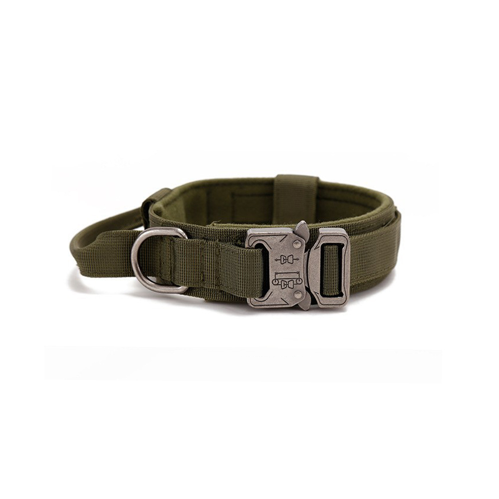 Green Nylon