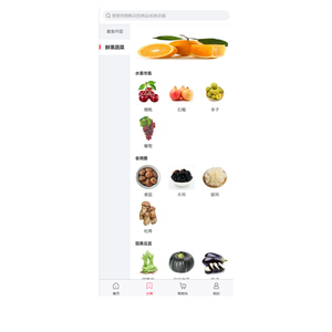 B2B E-Commerce Website-Entwicklung Webdesign-Entwicklung Android IOS Mobile Apps Linux DOS