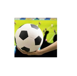 カスタマイズと新しいアドバンス機能を備えたベストセラーソフトウェアサッカースポーツゲームサッカー - Product Image 1