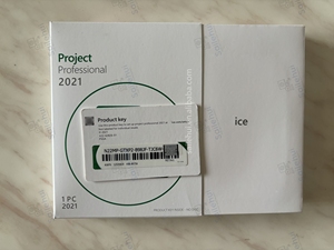 Project Pro 2021 Online-Aktivierung der Einzelhandel lizenz Global Project Professional 2021 Schlüssel code Hot Selling