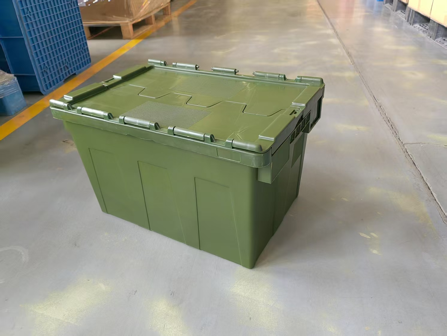 Olive Drab