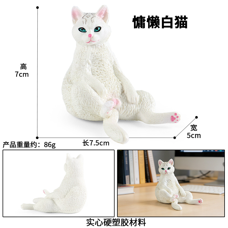 M-3136Chat blanc paresseux