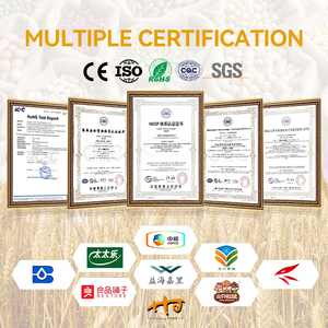 Tùy chỉnh chất lượng tự nhiên tinh khiết <span class=keywords><strong>Sudan</strong></span> mè trắng hạt giống cho thực phẩm nông nghiệp sản phẩm - Product Image 6