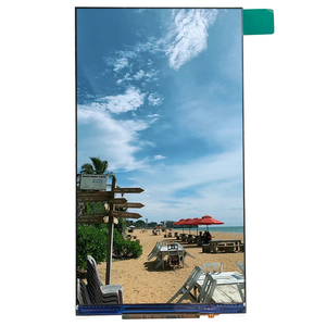 Pantalla LED suave Flexible Precio competitivo Panel de pantalla de 0,96-14 pulgadas Pantalla táctil pequeña personalizable Módulo de pantalla TFT LCD - Product Image 3
