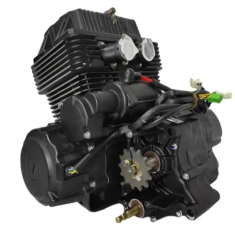 Motori moto raffreddati ad aria zongshen 250cc motore 250cc Dirtbike TM250cc avviamento elettrico doppio cilindro Zongshen TM250