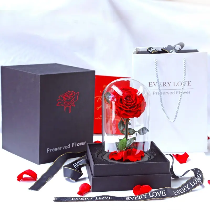 Rose éternelle sous dôme de verre comme dans la belle et la bête, fleur romantique, pour un amour durable, boîte cadeau, M067