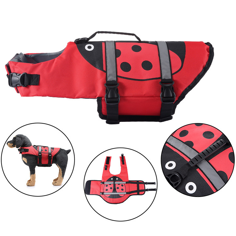 style coccinelle