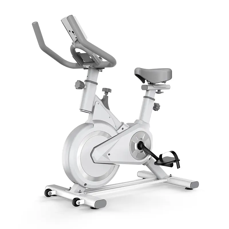 Home Gym Fitness Spin Bicicleta, Spinning Bike,Indoor Flywheel Ciclismo Bicicletas