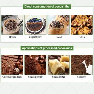 Separador Cacao Shell Cracking Cacao Bean Skin Remove Machine - Product Image 6