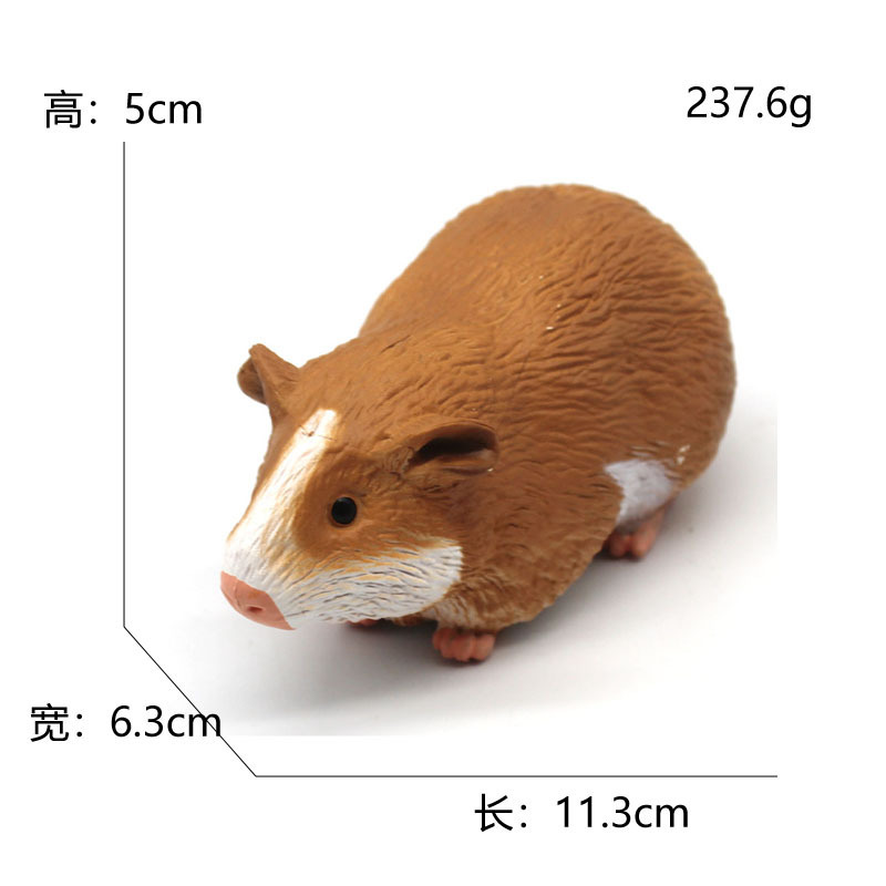 1187 cochon d'Inde-2376g