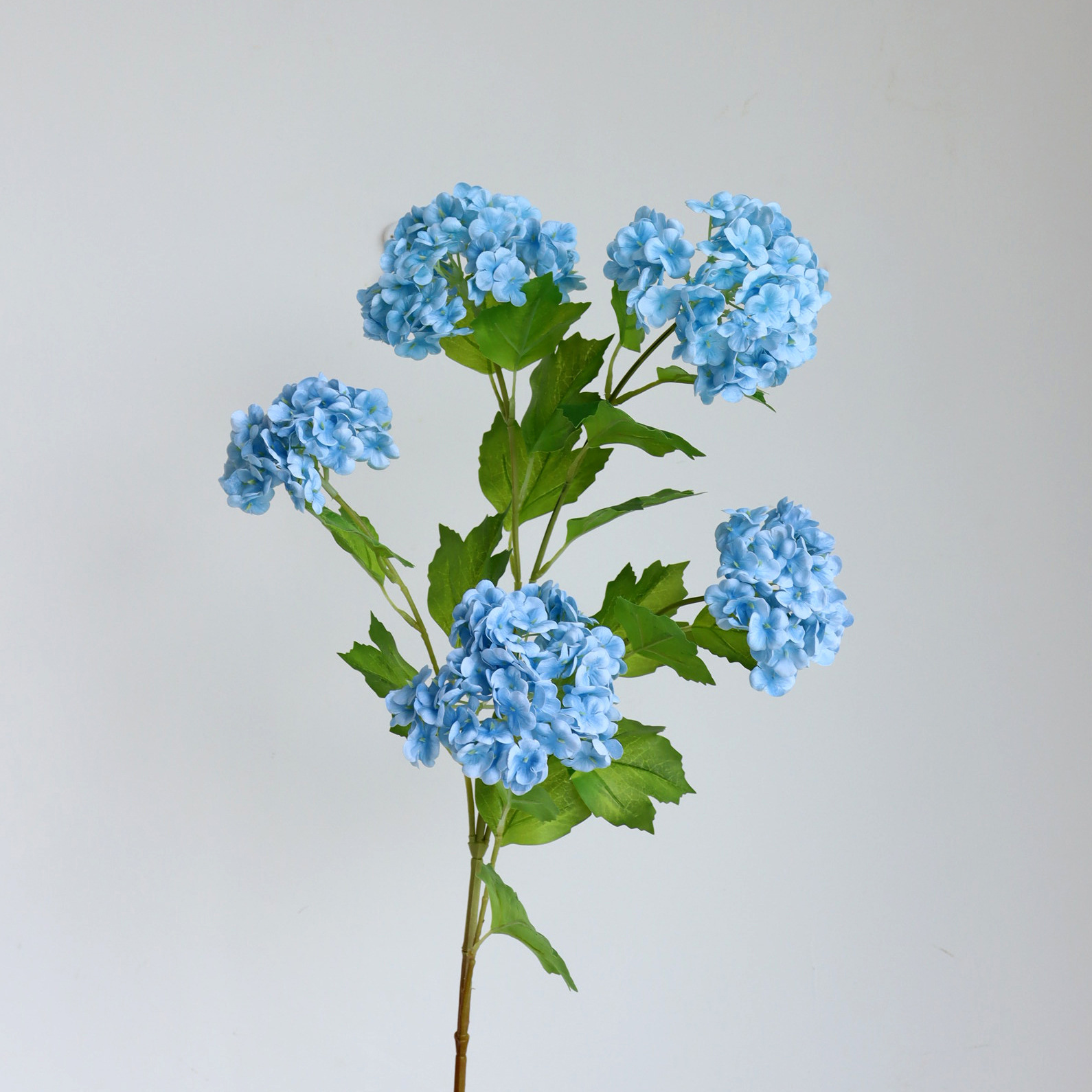 Blue 1