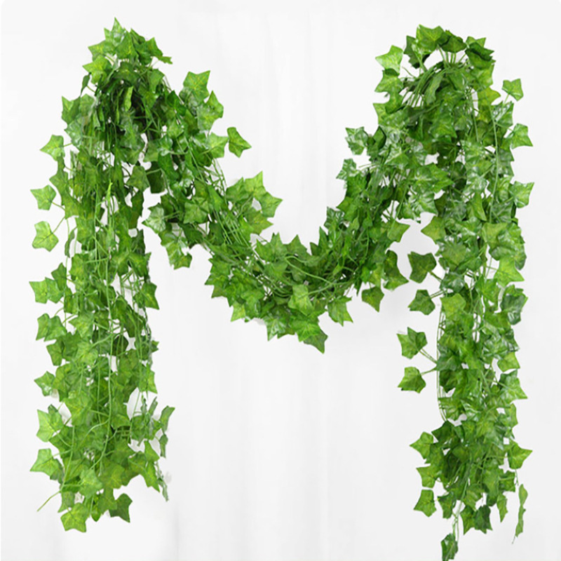 72 feuilles de patate douce vertes 2,1 m de long
