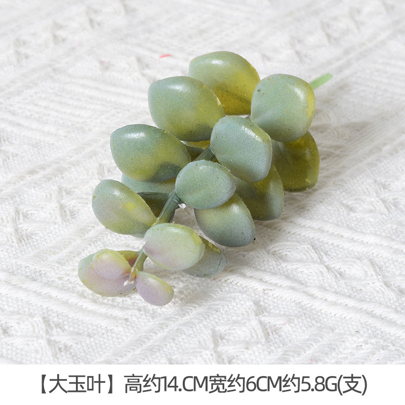 Hoja de jade grande