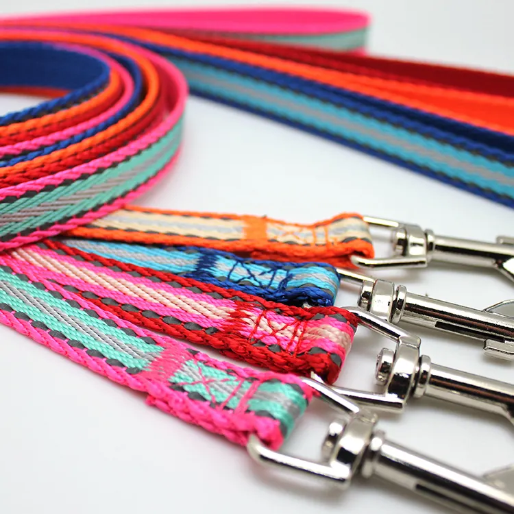 Fashionable stable colorful PP  dog leash and collar set for dog