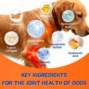 תוספת ללעוס ומפרק ללעוס לכלבים, גלוקוזאמין, תמיכה בניידות וגנים גדולים - Product Image 3