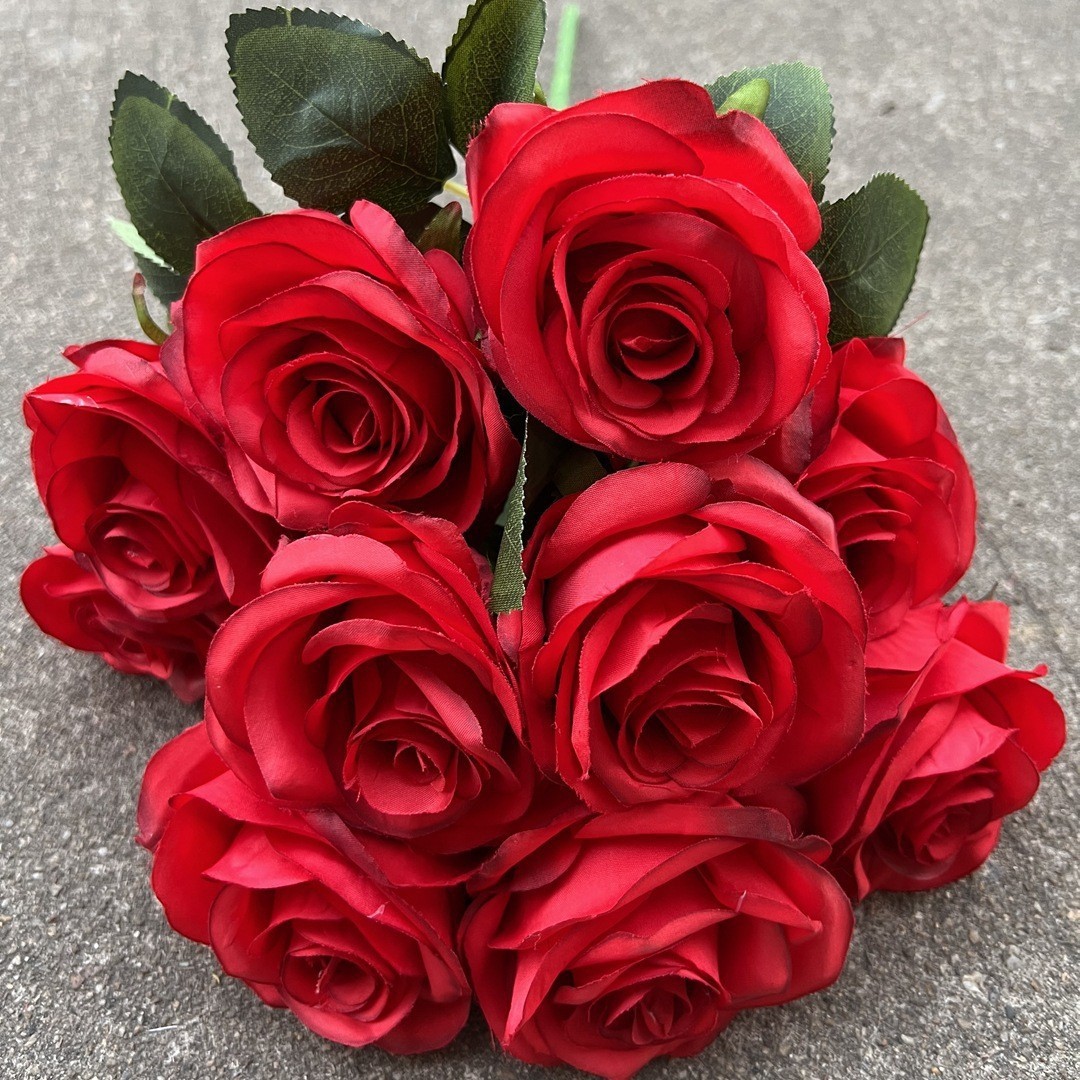 10 cabezas xi shi rosa roja