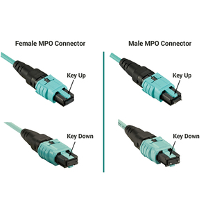 <strong>MTP</strong> - <strong>MTP</strong> 12 Fibers Female Single Mode OS2 Elite <strong>Trunk</strong> Cable - Product Image 5
